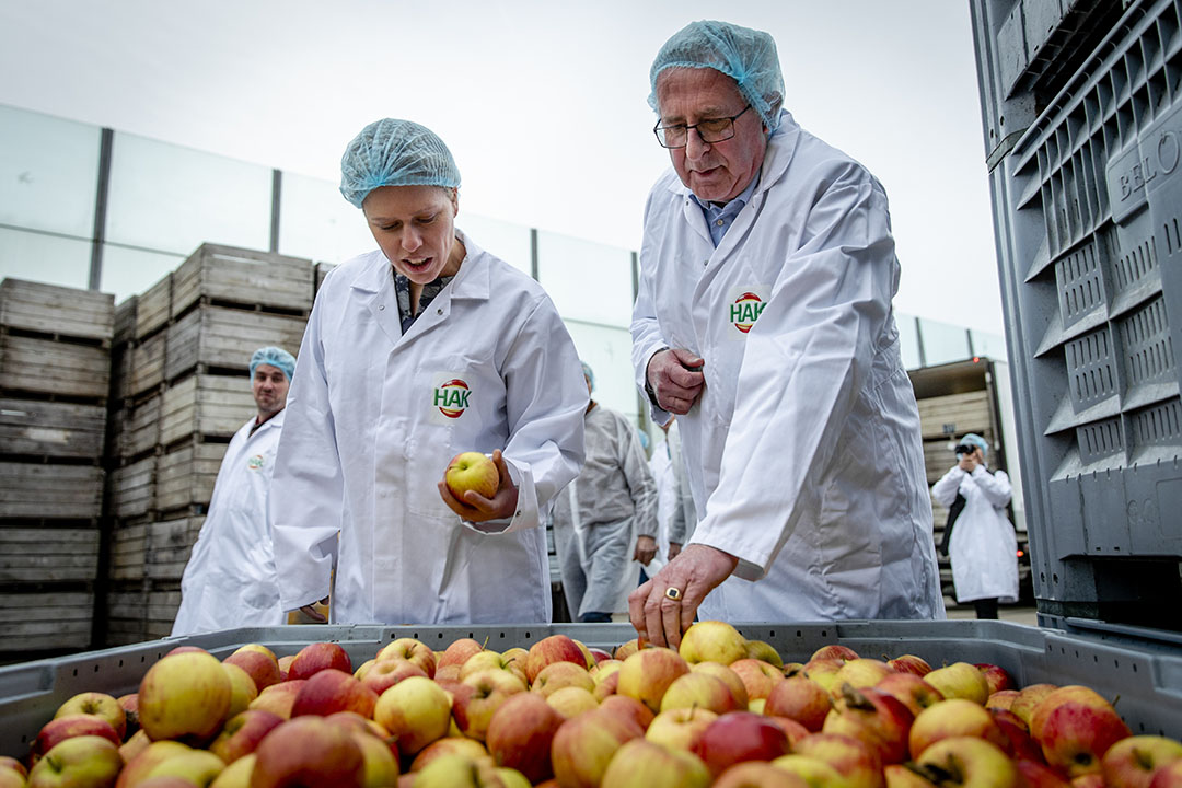 HAK koopt industriegroente en industriefruit van Nederlandse telers. - Foto: ANP SEM VAN DER WAL