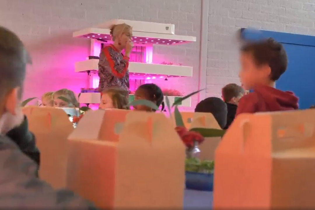 De schoollunch van Koppert Cress en partners op basisschool Het Kristal in Dordrecht. -Foto: still uit video Koppert Cress