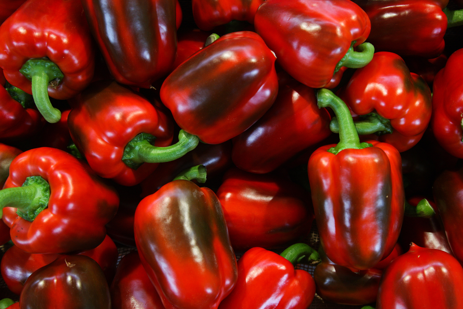 Op natuurlijke eigenschappen van paprika's zijn al patenten verleend. Zo is er een patent op paprika's met een natuurlijke afweer tegen de schadelijke witte vlieg.</p> <p><em>Foto: Diederik van der Laan</em>