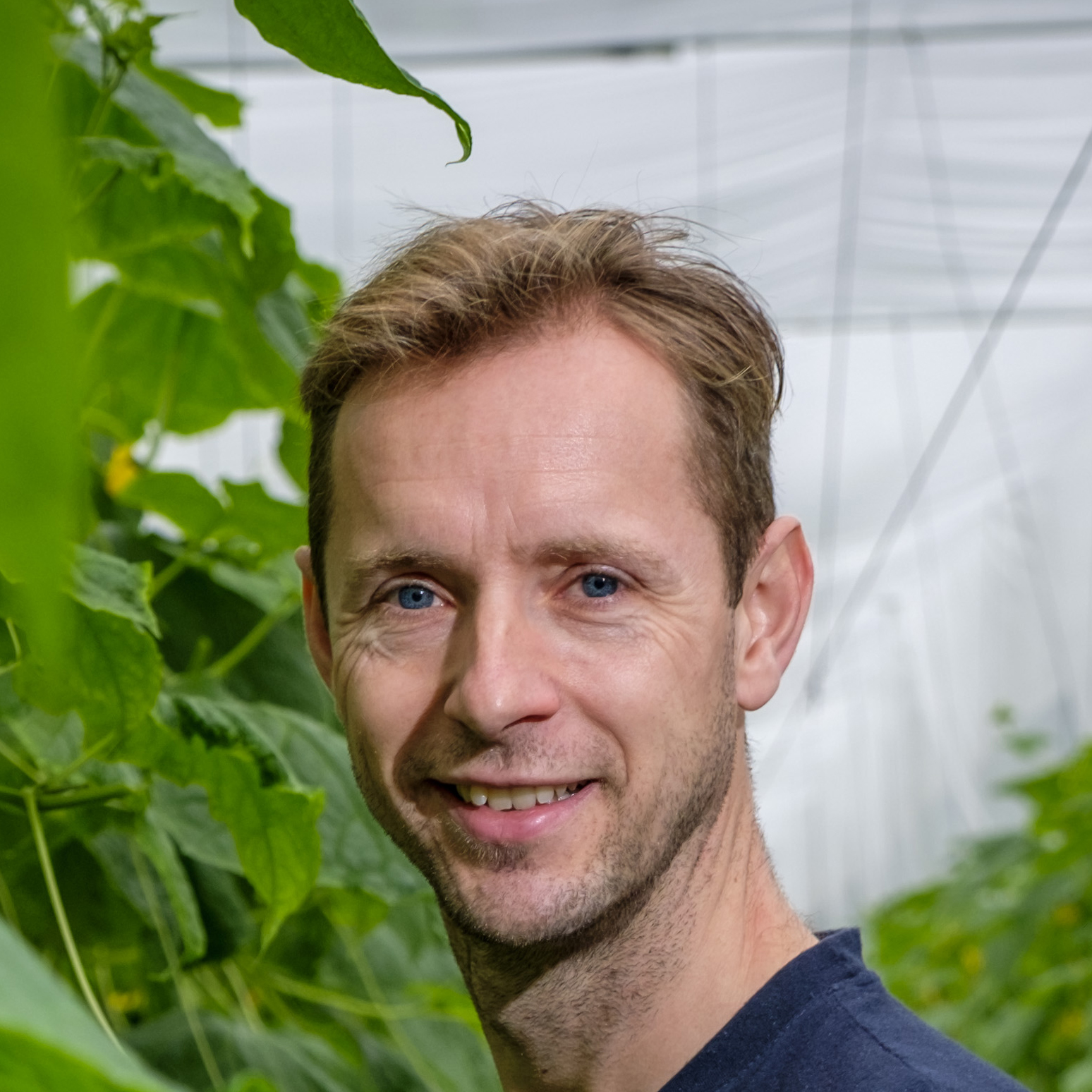 Profielfoto van Corné Van Boxel