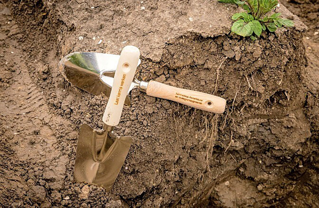 Laat kennis werken! Dat is de boodschap van de Kennisdeal Akkerbouw en Vollegrondsgroente - Foto: Koos Groenewold