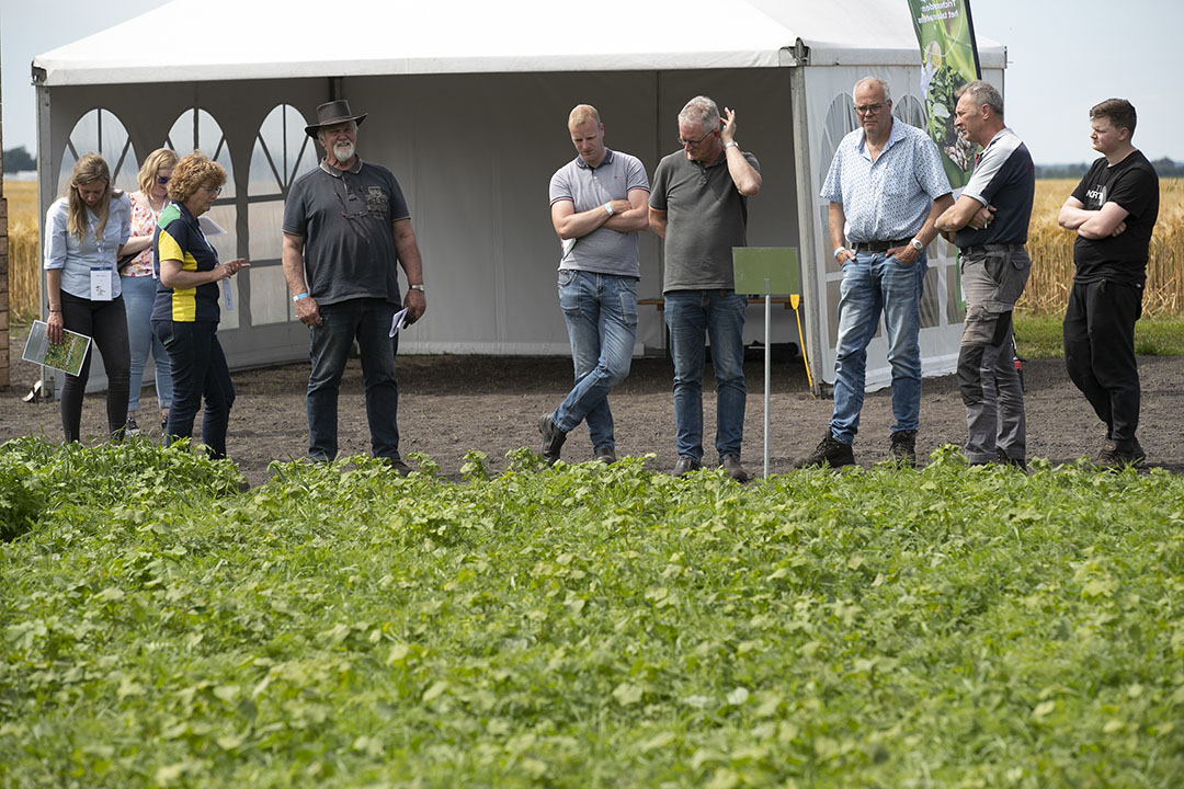 Bezoekers van de Groenbemesterdag op het WUR proefbedrijf in Valthermond (Dr.) krijgen uitleg bij een demoveld met mengsels van groenbemesters. - Foto: Hans Banus