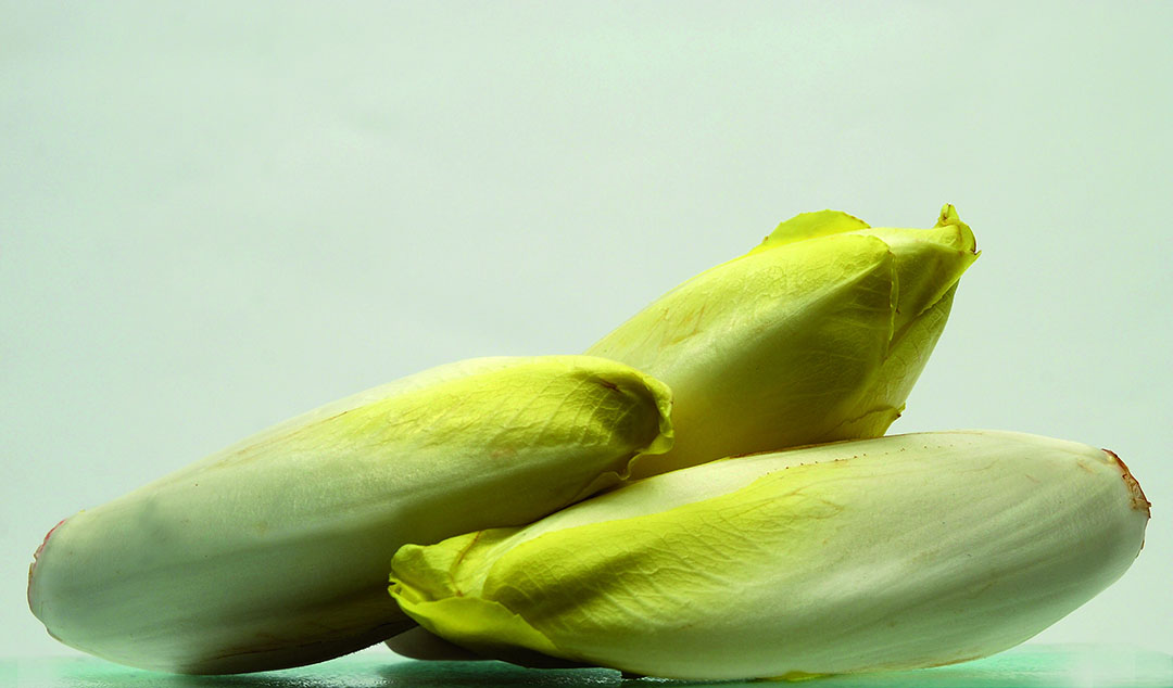 Foto: Groenten&Fruit