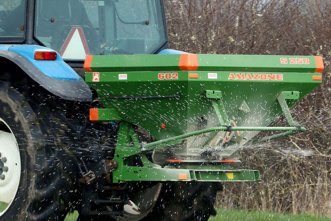 Kunstmest strooien. - Foto: Henk Riswick