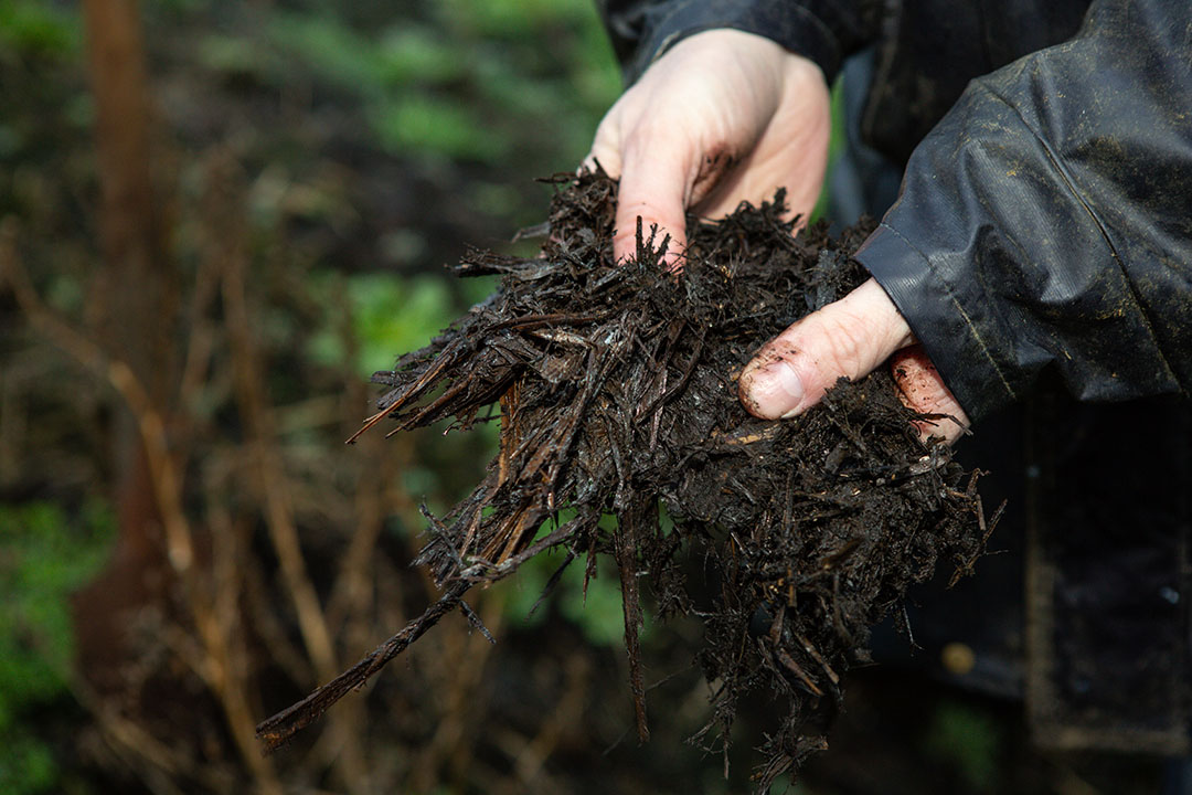 Een handvol Bokashi. Dit product is minder ver verteerd dan compost, het bodemleven kan hier direct mee aan de slag. - Foto: Peter Roek