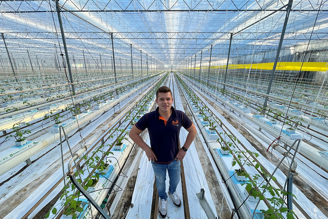 Rob Pennings, teeltmanager bij Bryte . - Foto: Bayer Cropscience