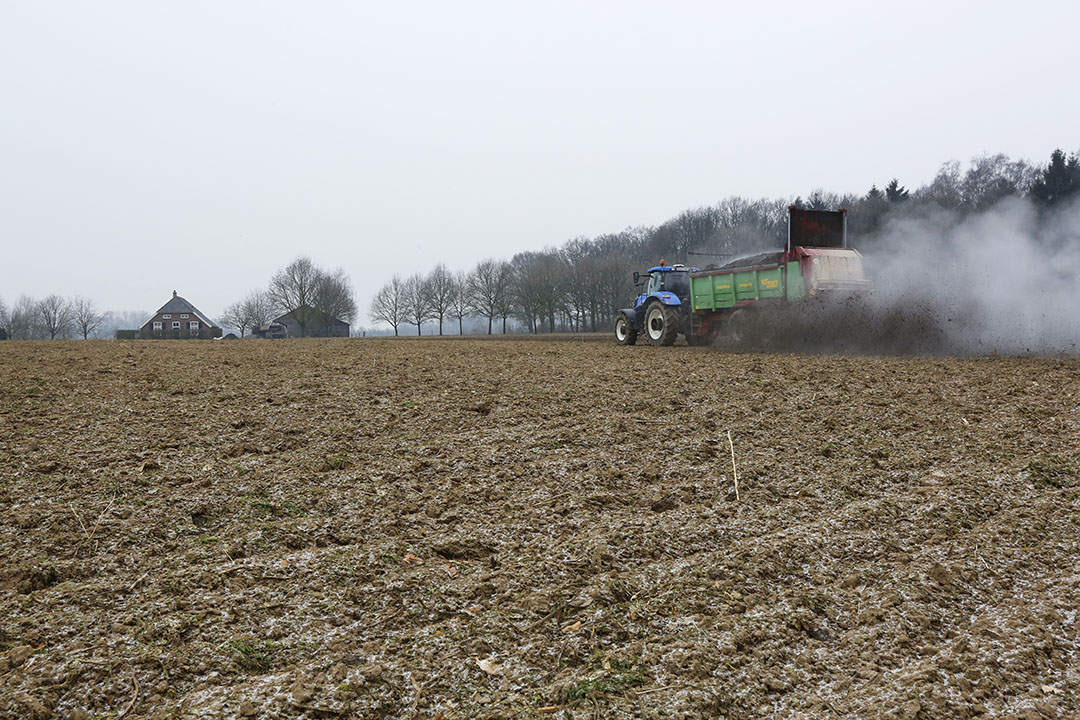 Compost uitrijden over een perceel waar suikerbieten stonden. Bodemleven kan hierop overleven zolang er geen gewas op het land staat. - Foto: Henk Riswick