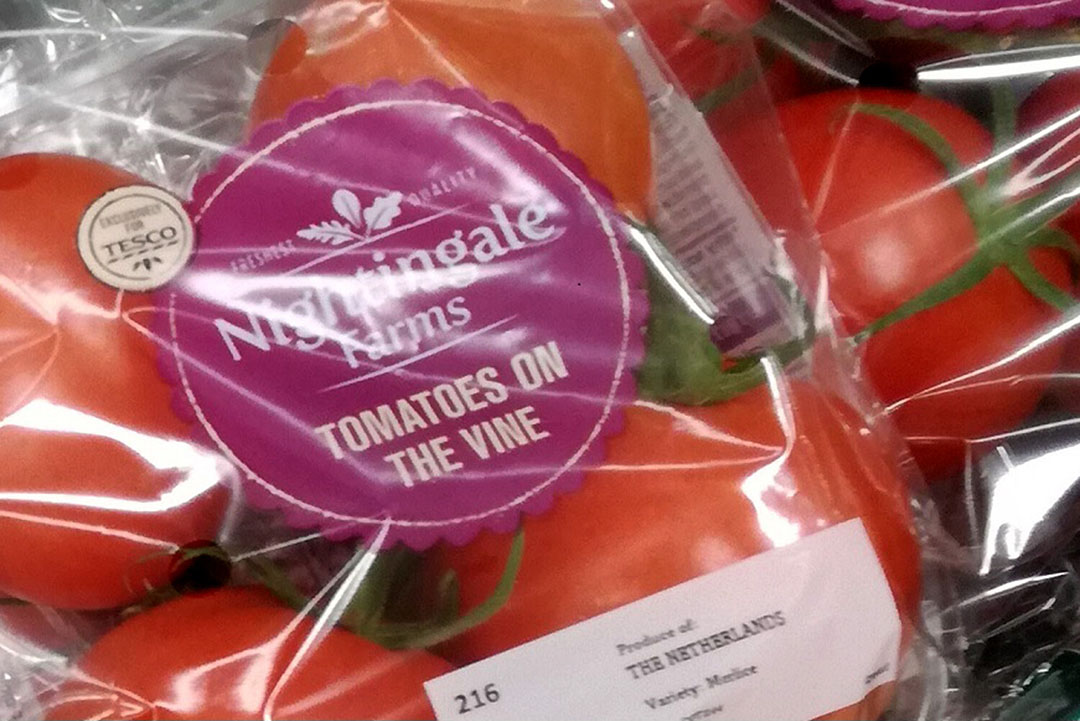 Nederlandse grove trostomaten (Merlice) in Tesco-winkels. - Foto: G&F