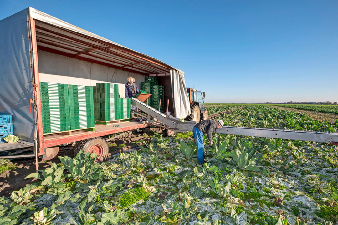 Foto: Anne van der Woude