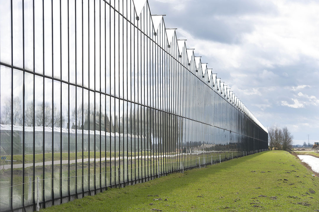 Exterieur van kassen in Friesland. - Foto: Mark Pasveer