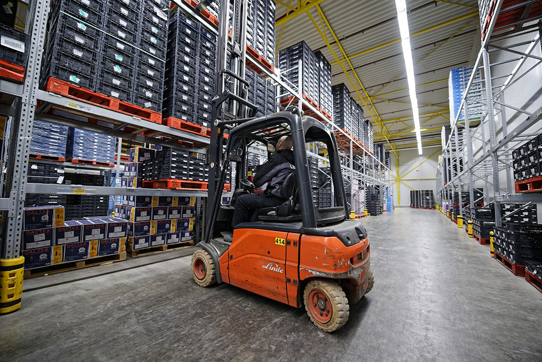 Archieffoto van een distributiecentrum met aangeleverde partijen groente. - Foto: Lex Salverda