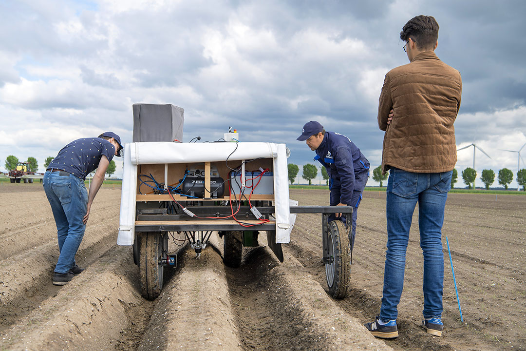 Een test toont aan dat twee verschillende prototypen onkruidrobots gemiddeld 55,7% van de aanwezige onkruiden wieden - Foto: Cor Salverius Fotografie