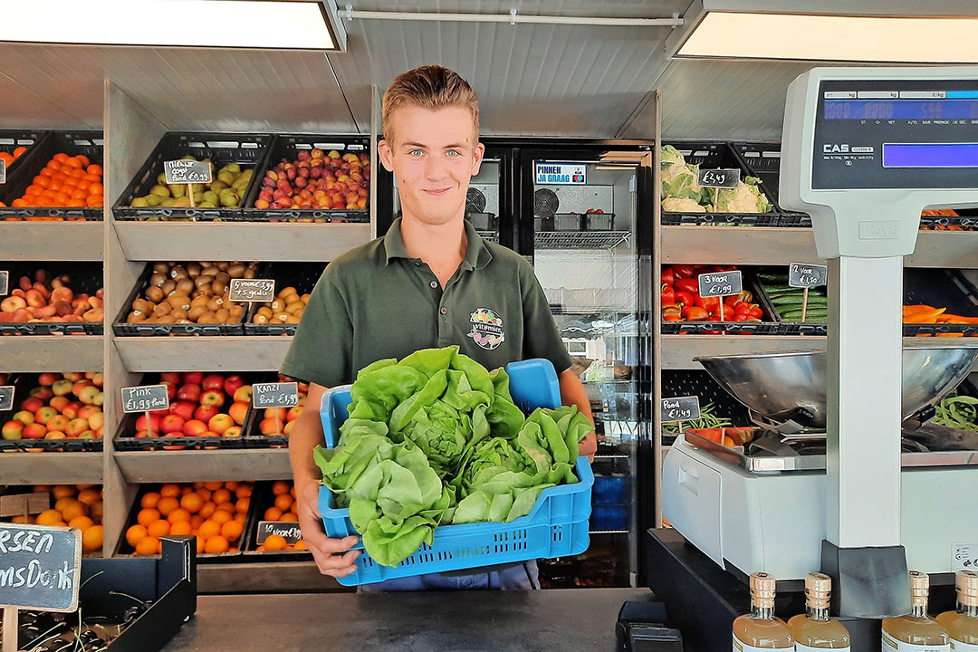 Verse sla in een marktkraam in het Westland. - Foto: Harry Stijger