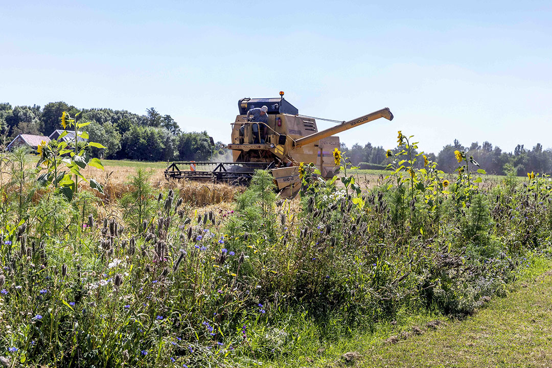 De eerste aanmelding voor deelname aan het nieuwe GLB gaat boeren flink tijd kosten. - Foto: Koos van der Spek