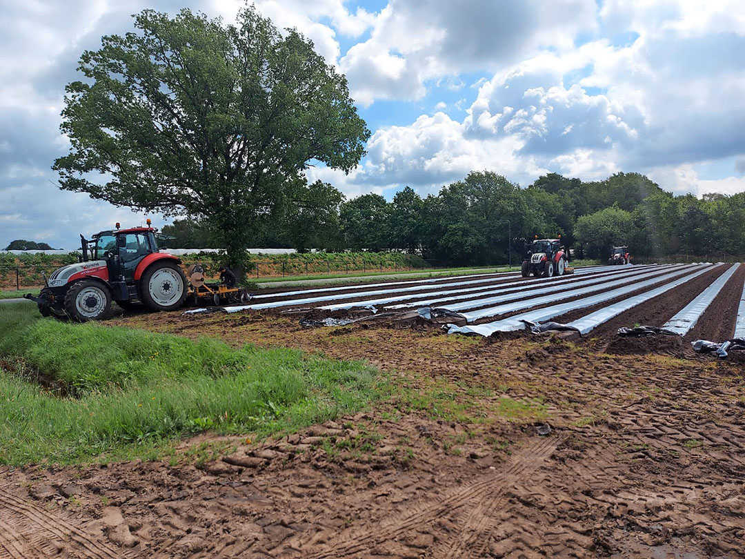 Net als bij Teun van Oorschot (foto) liggen de velden voor vroege plantingen bij Mark van Aert al plantklaar. - Foto: Teun van Oorschot