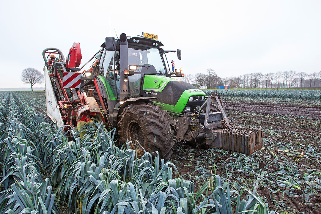 Winterprei is een van de gewassen die wel op de lijst van wintergewassen staat. - Foto: Peter Roek.