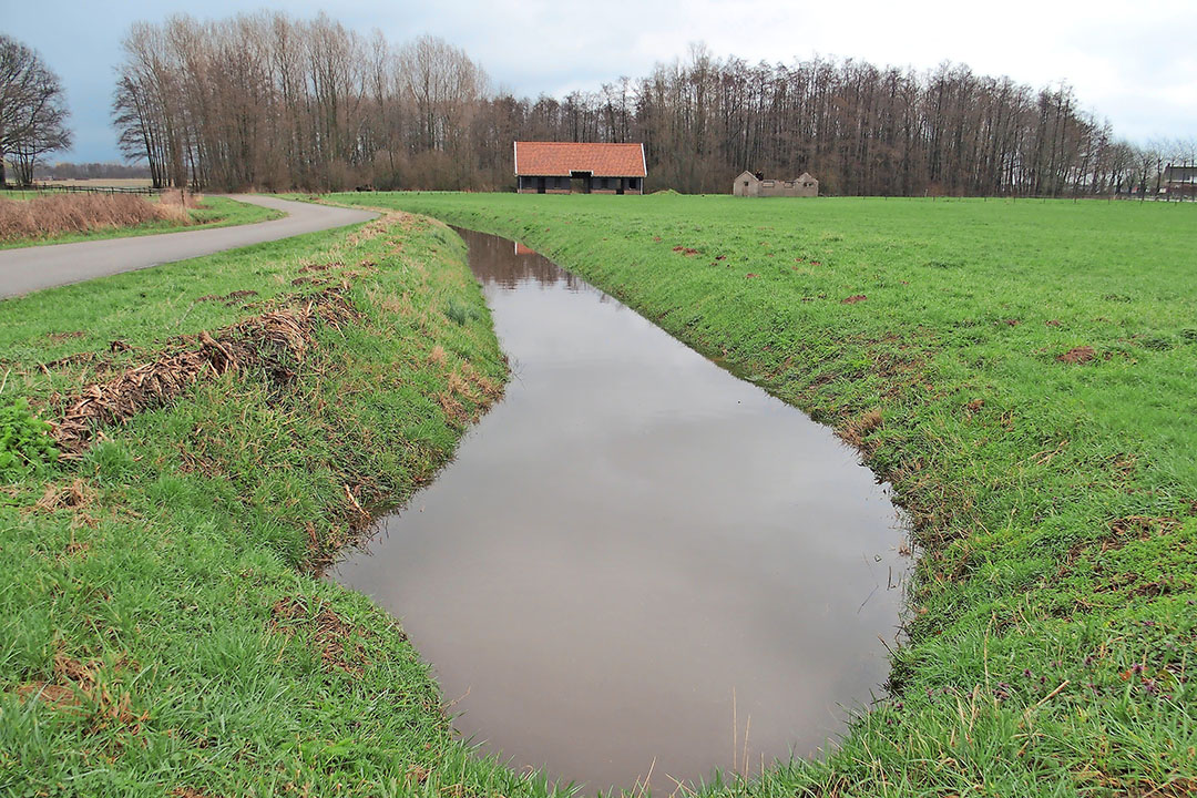 In de voorgaande jaren heeft het tekort aan grondwater geleid tot onttrekkingsverboden en dat wil het waterschap voor de toekomst juist voorkomen - Foto: Stan Verstegen.