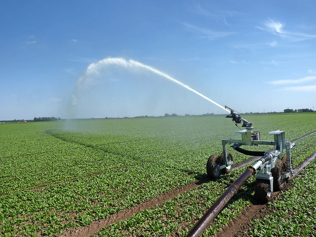 Droogte Vlaanderen