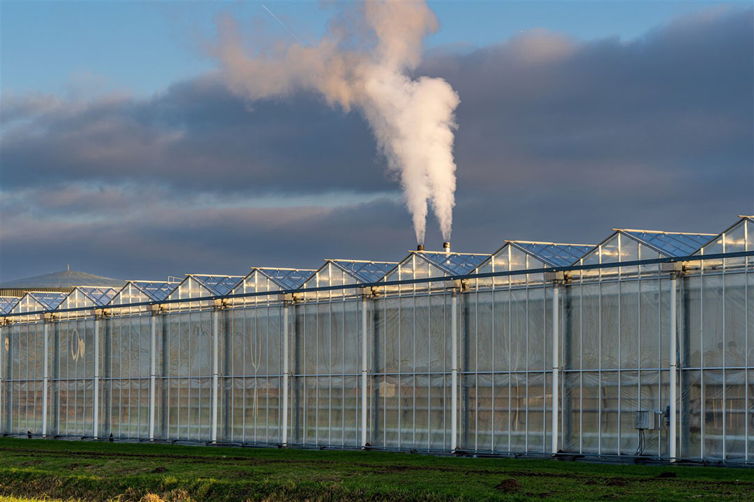 Het kabinet schrok van de uitkomsten van de impactanalyse van WIR over de gevolgen van de exploderende energieheffingen in 2025.   Foto: ANP