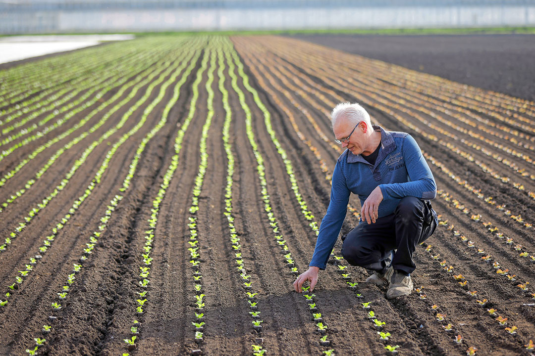 Het planten verliep bij Matthe Bottenberg ondanks de vele regen geheel volgens plan. - Foto: Koos Groenewold