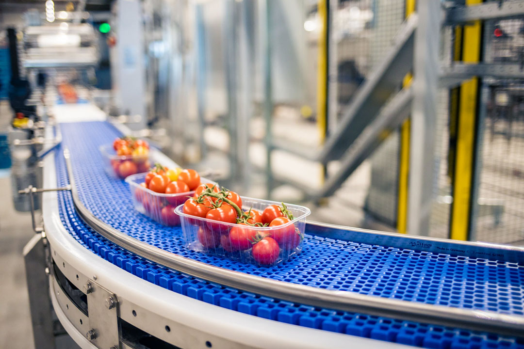 In Maasdijk werd in 2020 een nieuwe verpakkingslijn gebouwd. Onderdelen daarvan kwamen voor steun in aanmerking. - Foto: Growers United