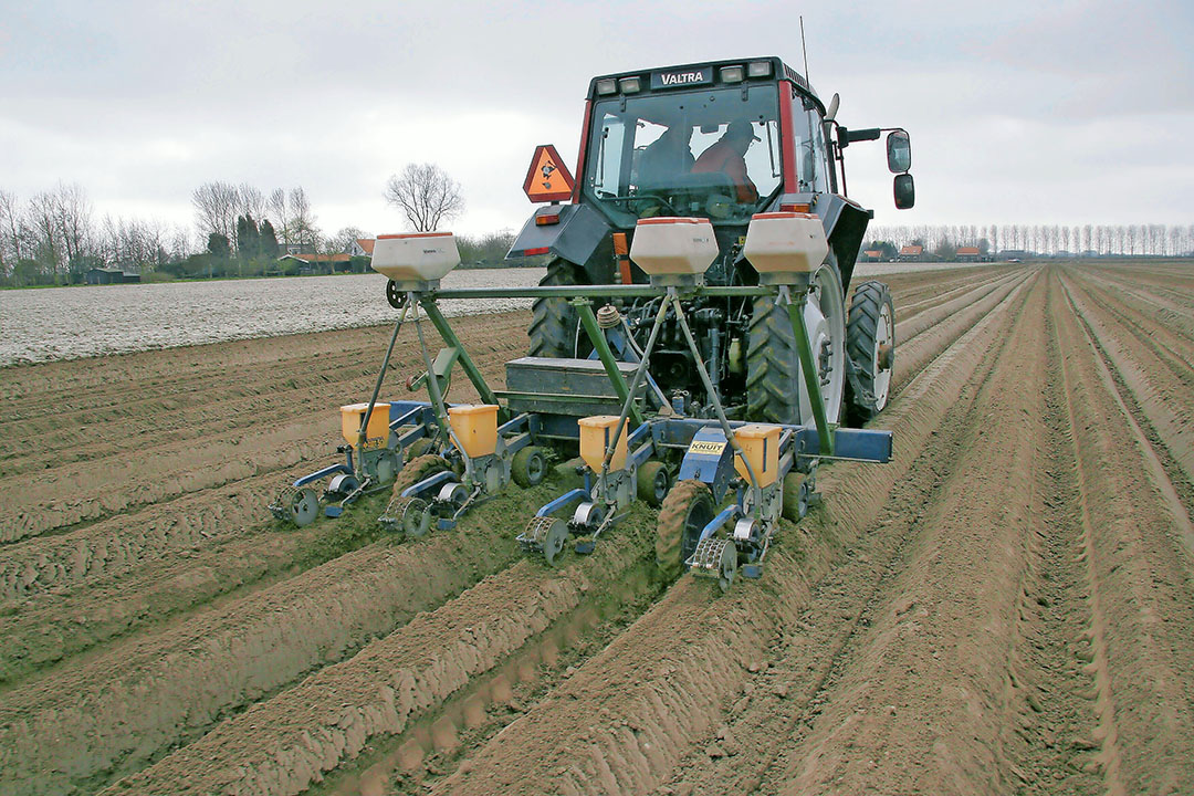 In de derde week van mei werden de rassen Nerac en Dailyance gezaaid met 1,75 miljoen geprimede zaden per hectare - Foto: Anton Dingemanse