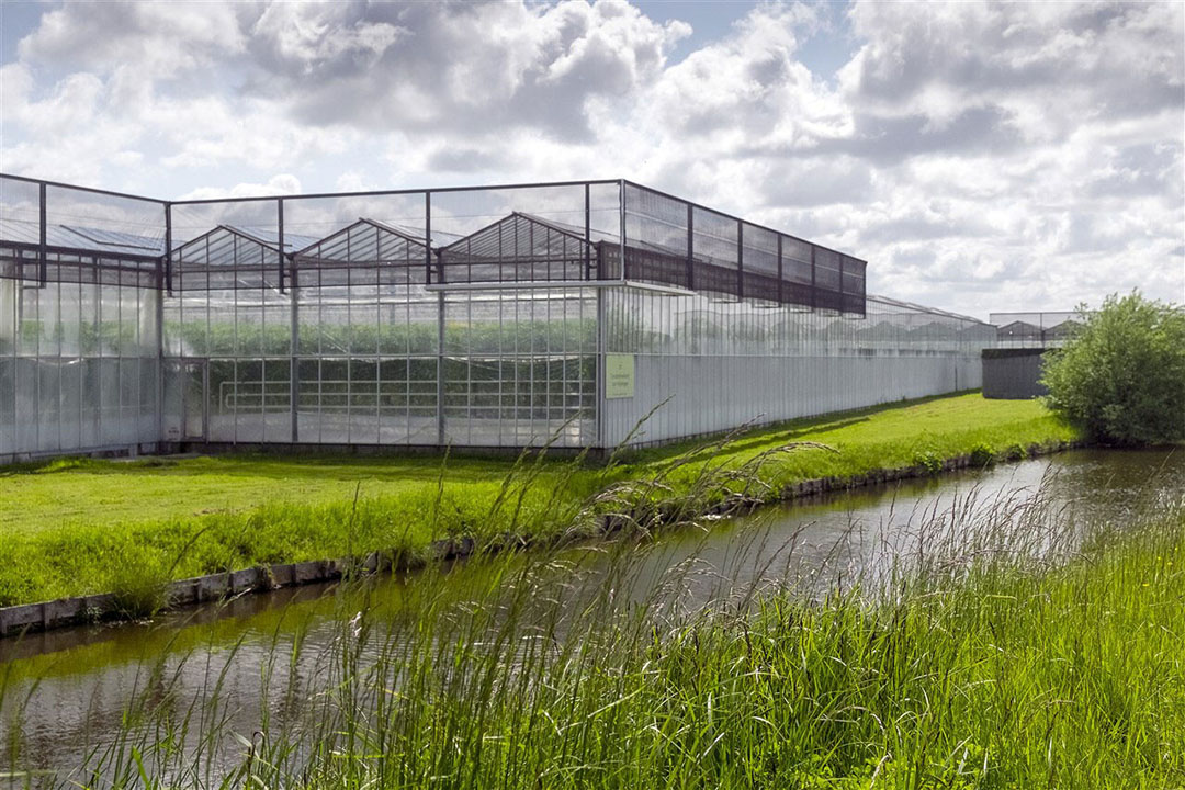 Ging het in de zomerse dagen bijna vanzelf, nu moeten we weer beter letten op het buitenklimaat. - Foto: ANP