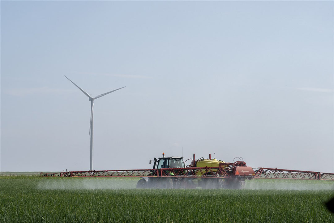 Eerder deze maand concludeerde Efsa dat er geen reden is voor ernstige zorgen over onkruidbestrijder glyfosaat. - Foto: ANP