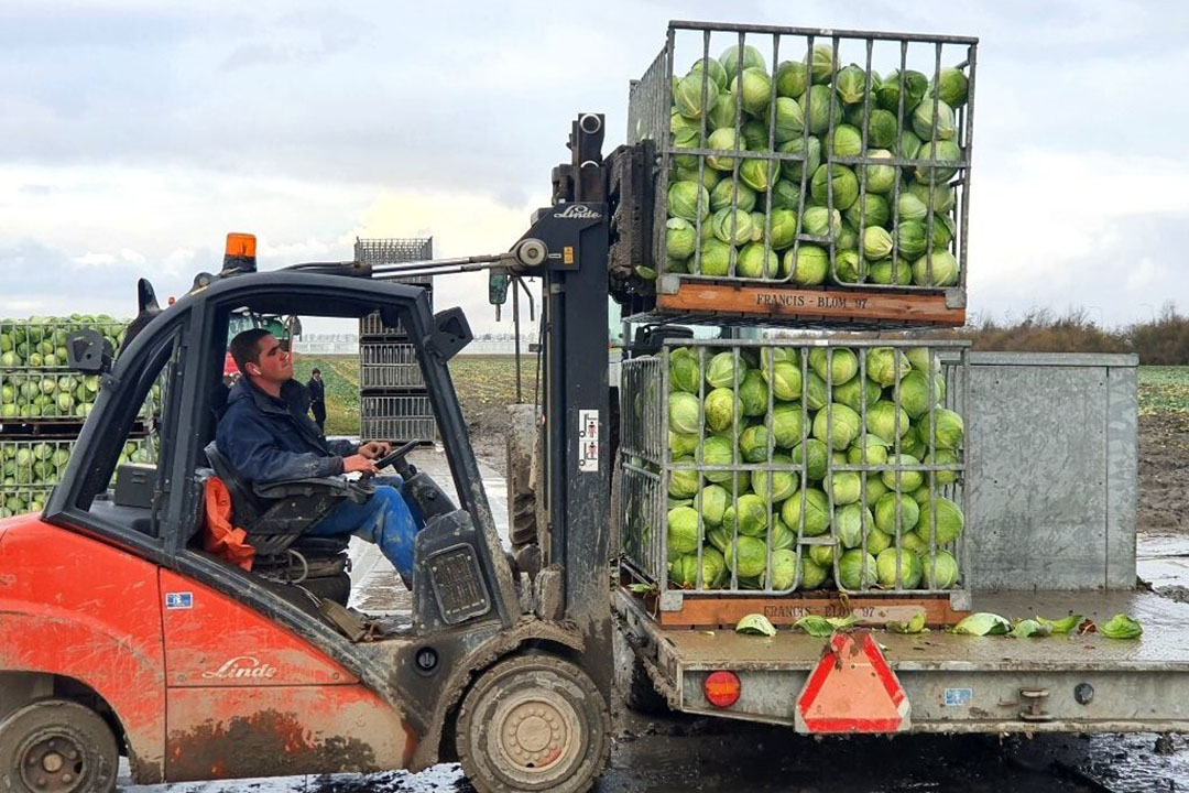 strengere eisen biologisch