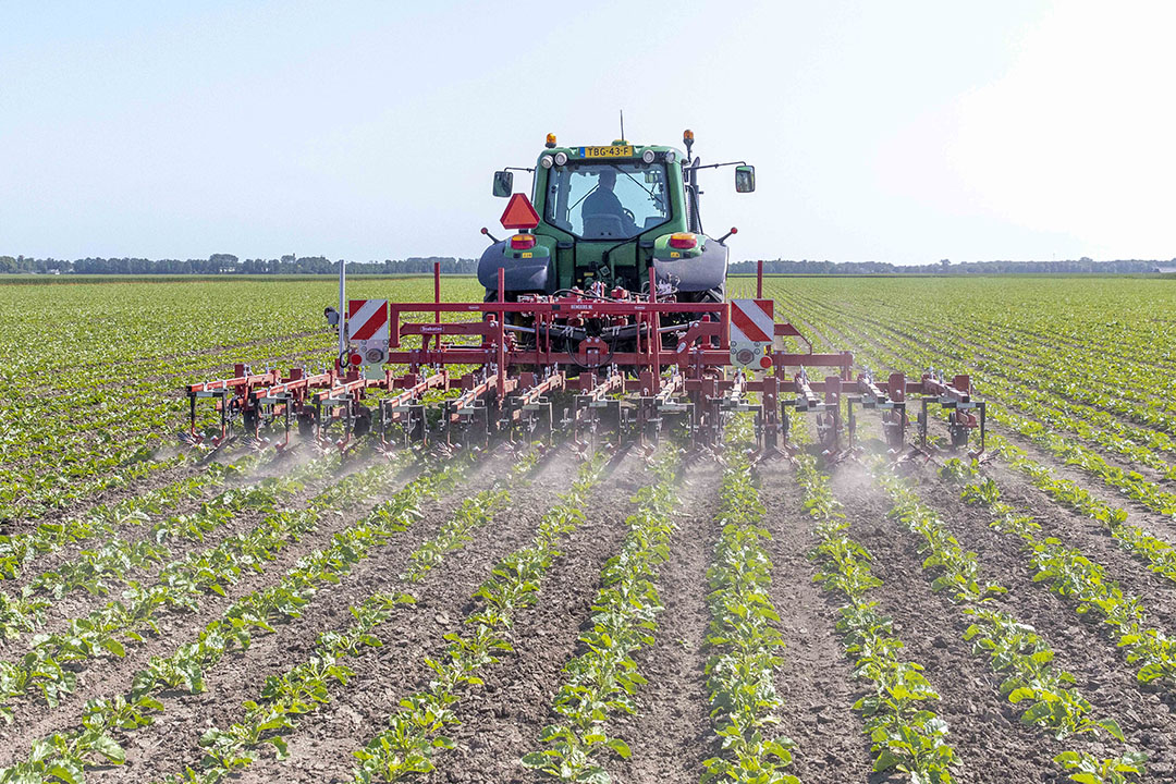 Concreet gaat het volgens RVO om machines die vanggewassen vernietigen, maaien, verhakselen, kapot frezen of inwerken. Foto: Koos van der Spek