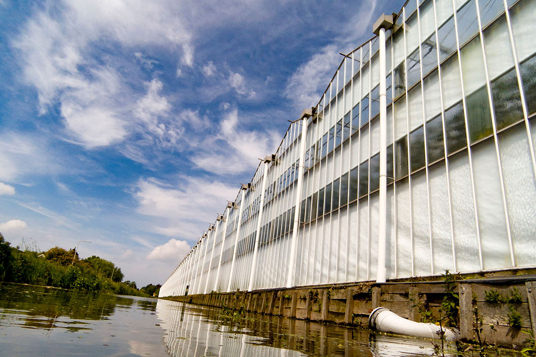 rabobank glastuinbouw