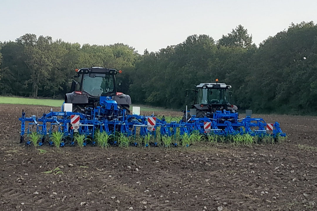 Steketee-schoffels in de Lemken-blauwe kleur - Foto: Martin Smits.