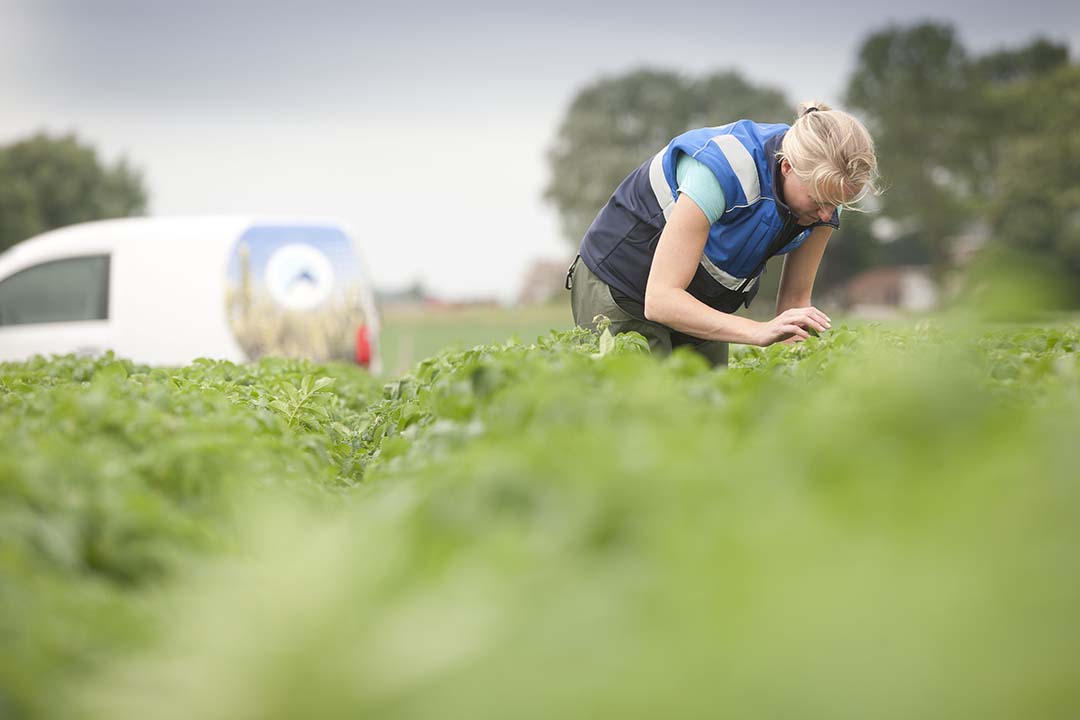 keuringsdiensten KCB Naktuinbouw