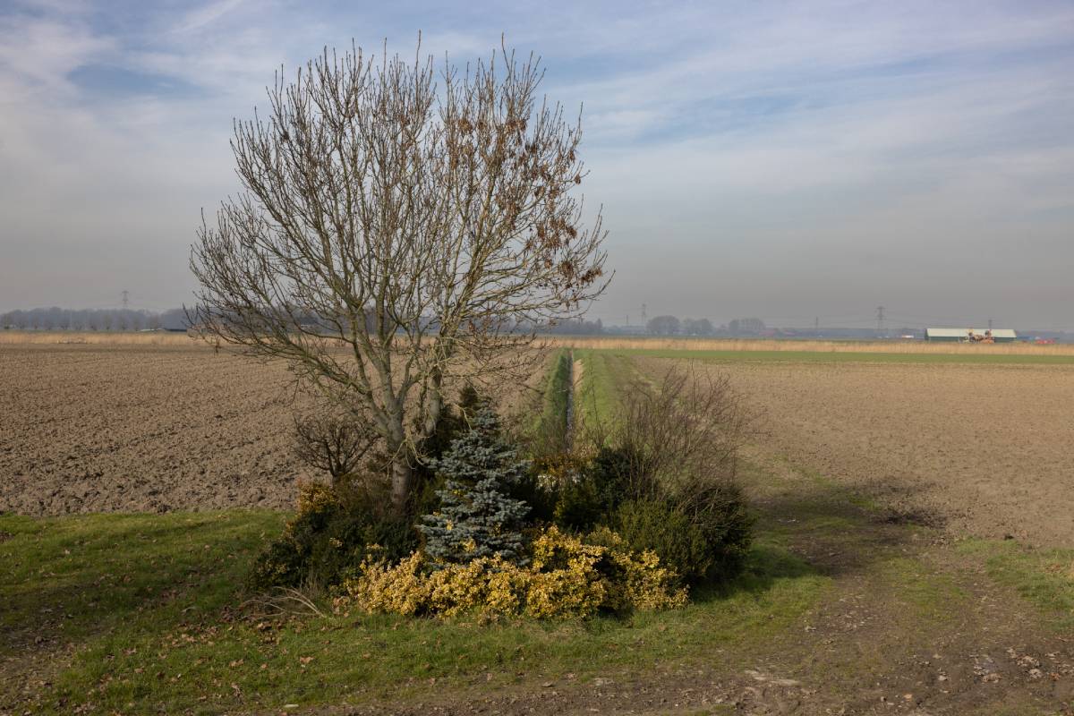 Extra geld voor ecoregelingen