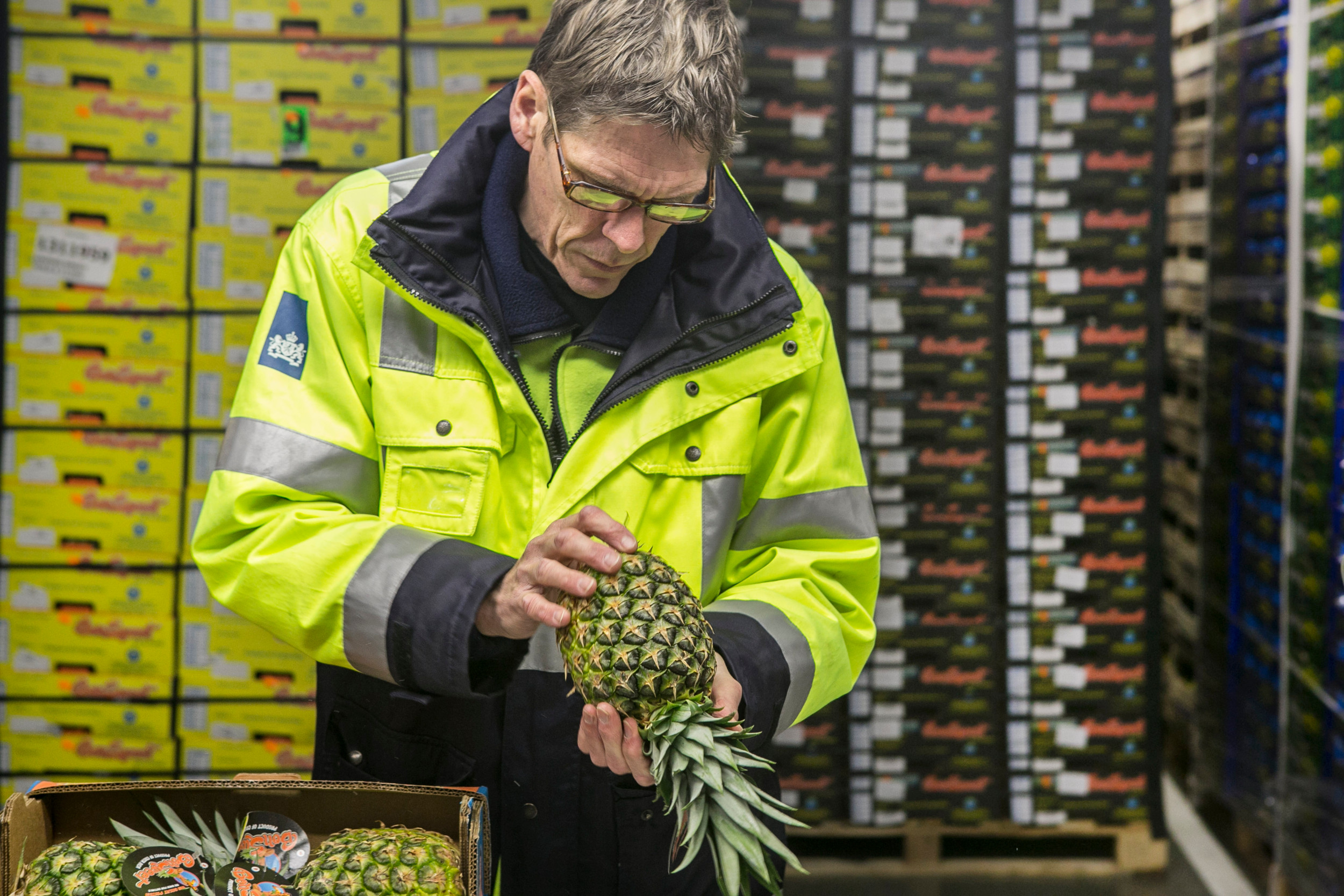 Een KCB-inspecteur aan het werk. – Foto: Roel Dijkstra