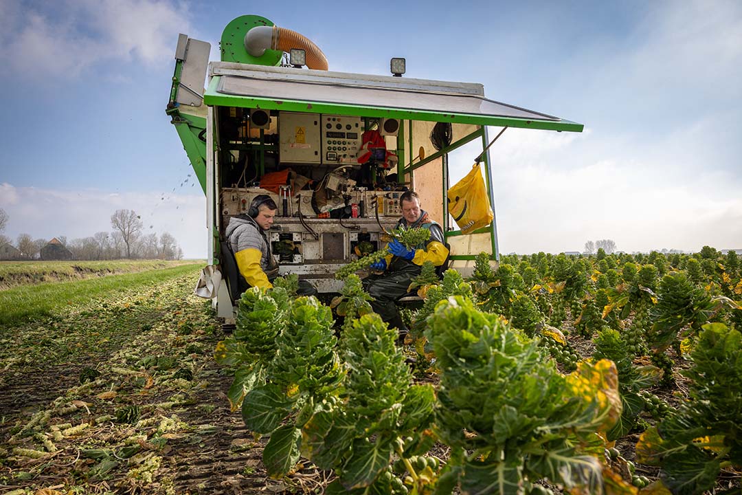 Sonneveld kijkt terug op een redelijk goed jaar. “De prijzen waren goed, de productie was minder en er zat dit jaar best wat werk aan. Dit jaar was daarom geen overloper."- Foto: Peter Roek