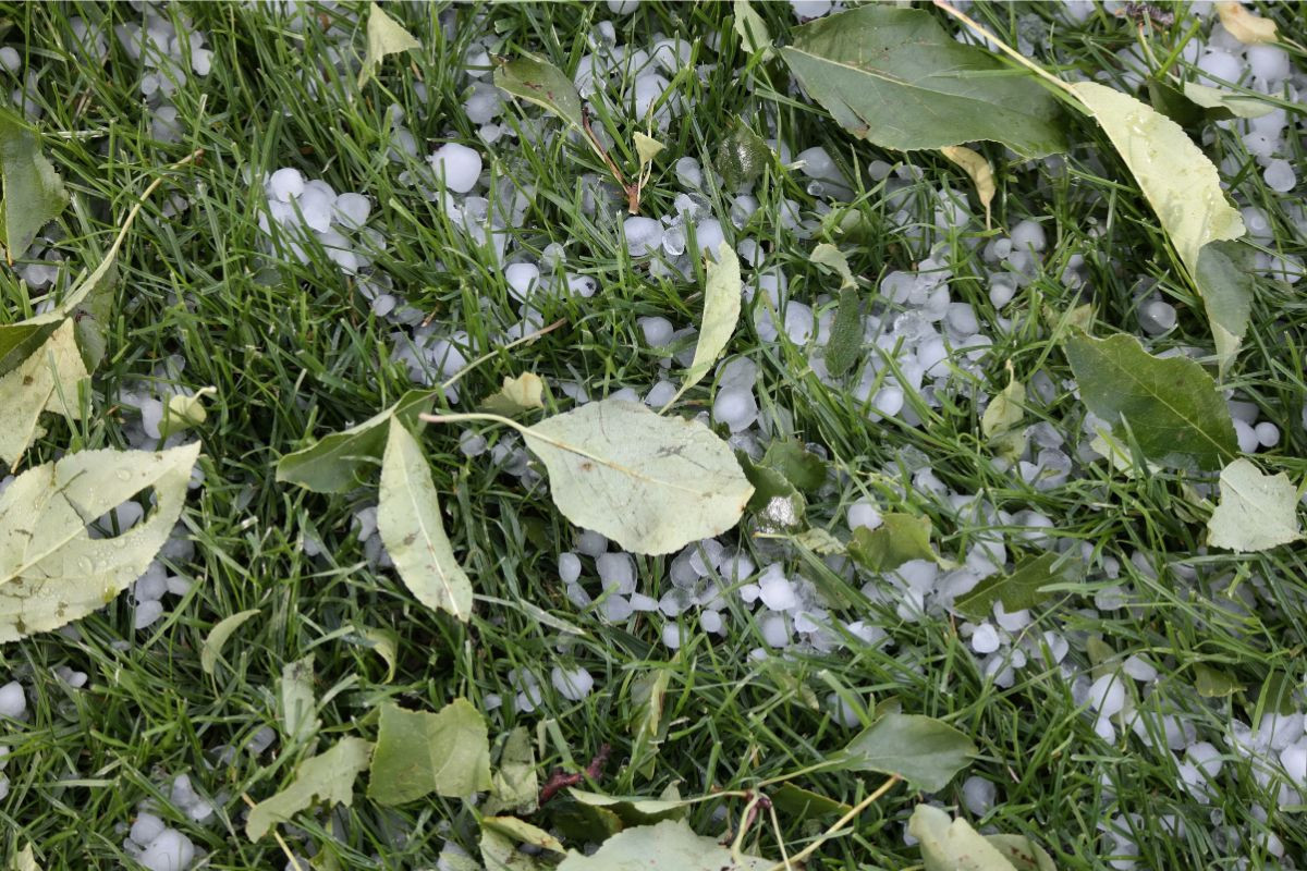 In de nacht van 30 april op 1 mei trokken buien met hagel en onweer over onder meer de Betuwe en Utrecht. – Foto: Canva/Linda Jo Heilman