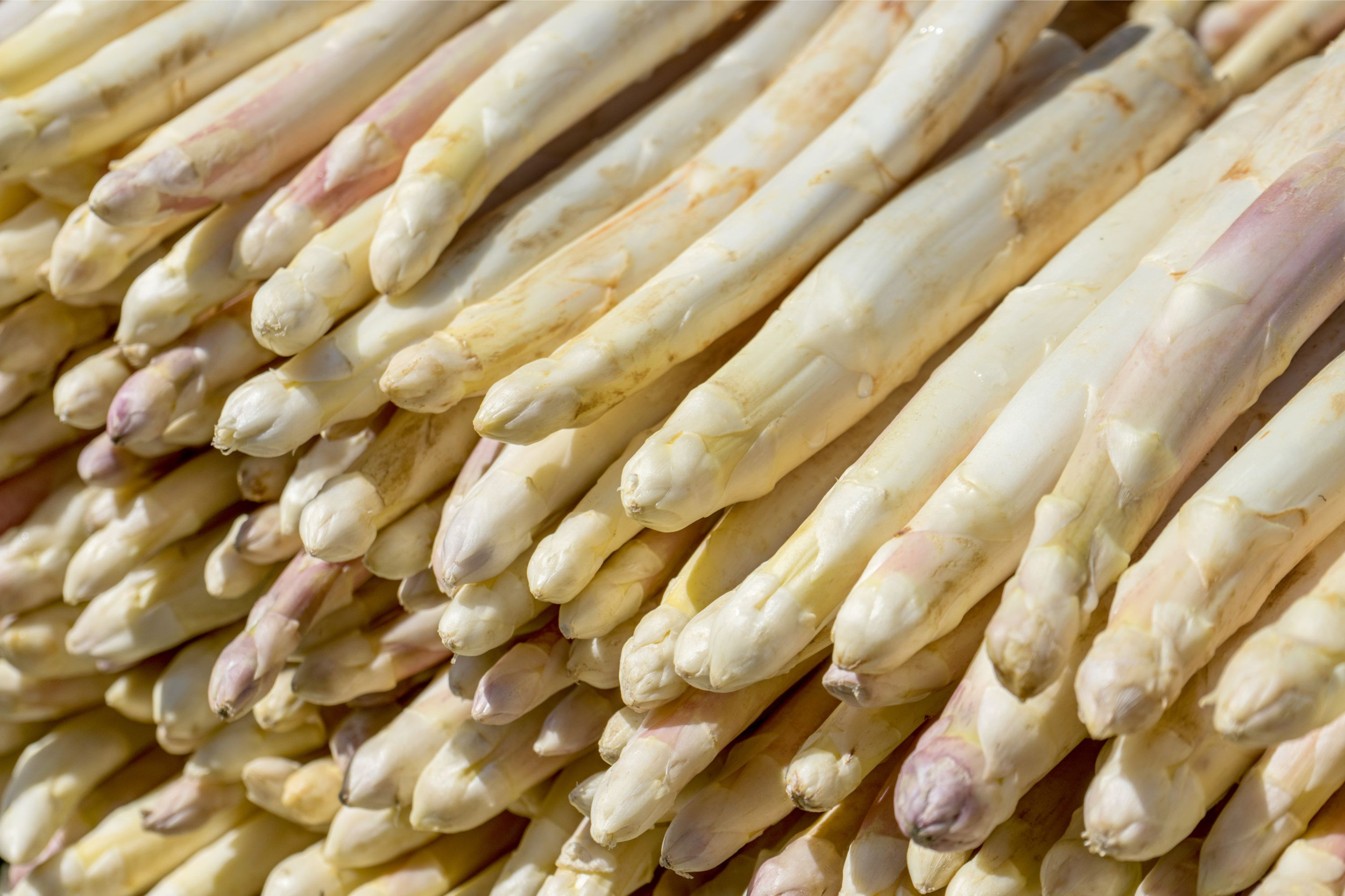 De koper kon, gezien zijn gevorderde leeftijd, niet meer een volledig 10-jarige teeltcyclus voor asperges opstarten en claimt daarvoor een schadevergoeding. Foto: Canva