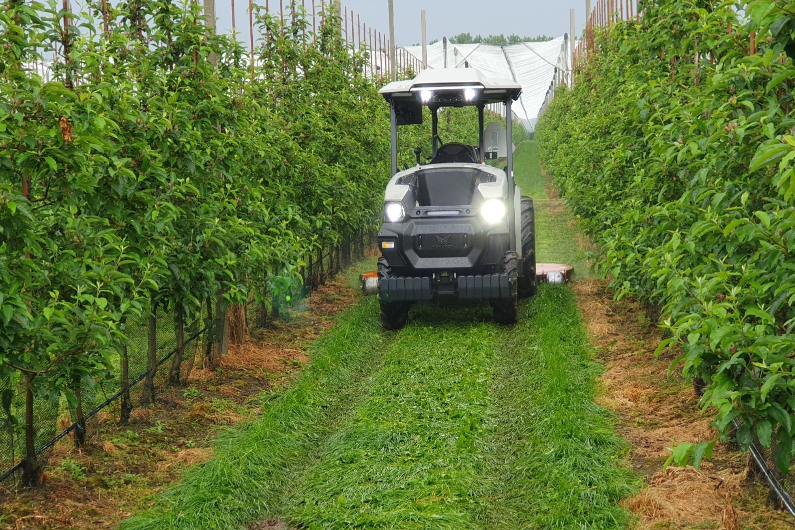 Colruyt kijkt met zijn Smart Farming-beleid behalve naar het product ook naar de teeltmethode. Foto’s: Yves De Groote