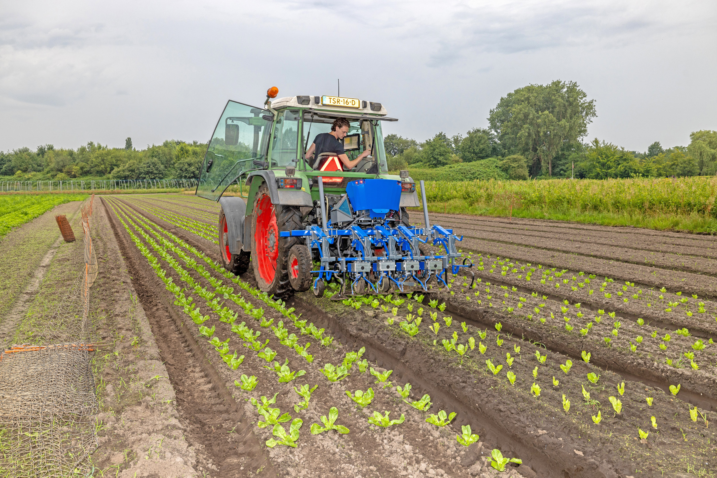 In-de-rijschoffelmachines worden tot nu toe vooral in de vollegrondsgroenteteelt gebruikt. De inzet in andere gewassen is een van de doorontwikkelingen, waaraan Eerke Lauwen werkt bij zijn E-Vario-Weeder. Ook in suikerbieten is inmiddels enige ervaring opgedaan. Foto’s: Peter Roek