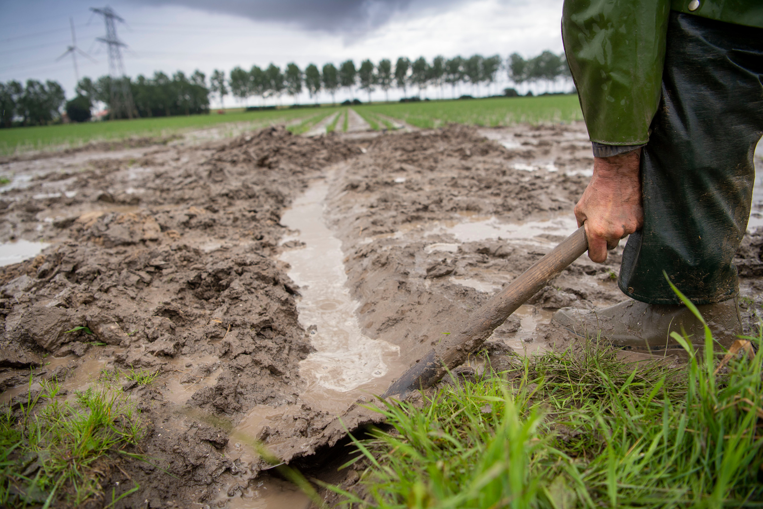 Telers kunnen allerlei maatregelen nemen tegen waterschade als drainage of een greppel graven. Foto: Mark Pasveer