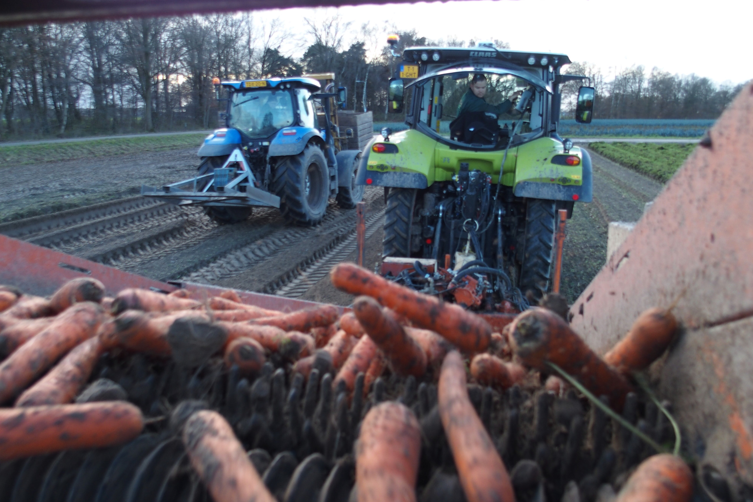 In ’t Zandt Agro zet zijn peen via telersvereniging Fossa Eugenia grotendeels af in het topsegment van de daghandel. Foto: Stan Verstegen