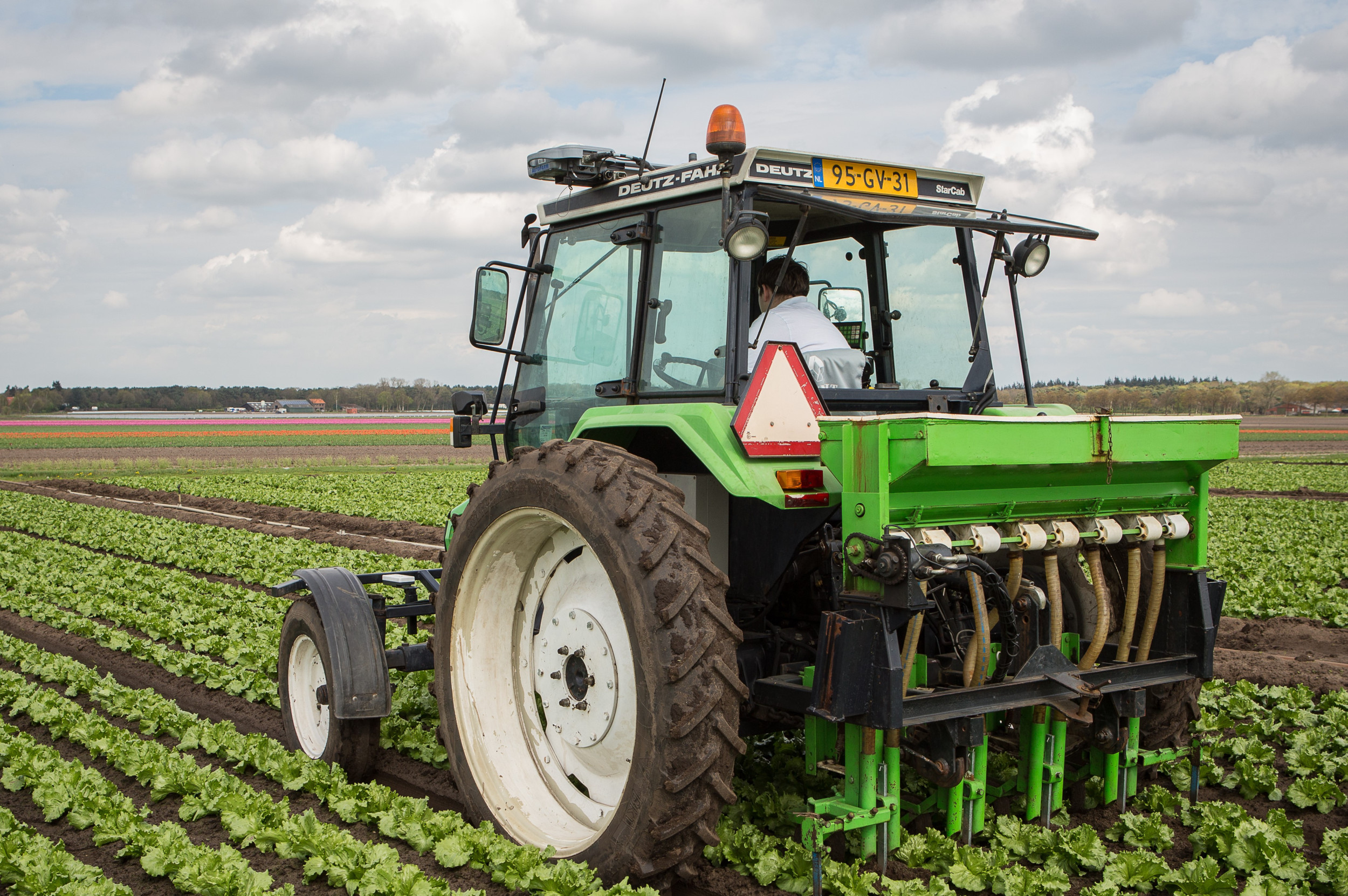 De keuze voor de vorm van bijbemesten is afhankelijk van het gewasstadium en hoeveel tijd de plant nog heeft om de nutriënten op te nemen. Foto: Peter Roek