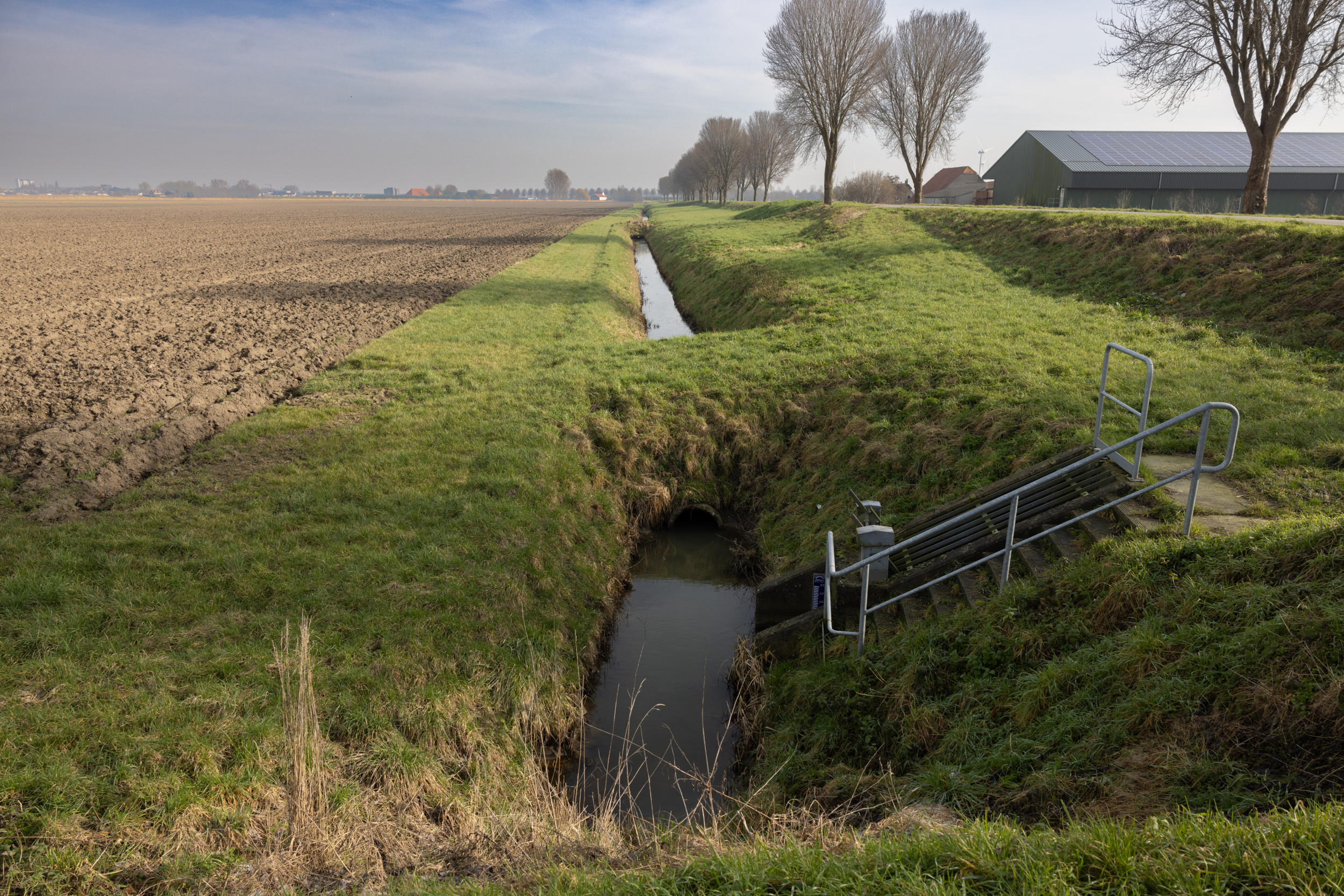 “Ik wil jullie agrarische ondernemers oproepen om je bezig te gaan houden met de politiek”, zegt Jolanda Nooijen in haar laatste column voor Groenten & Fruit. Foto: Peter Roek