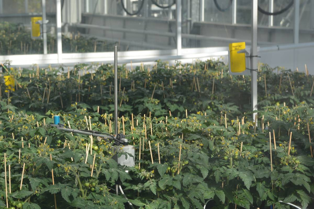 The Autonomous Greenhouse Challenge is een open challenge met teams uit de hele wereld met datawetenschappers, landbouwkundigen, ingenieurs en softwareontwikkelaars. Foto: Peter Visser