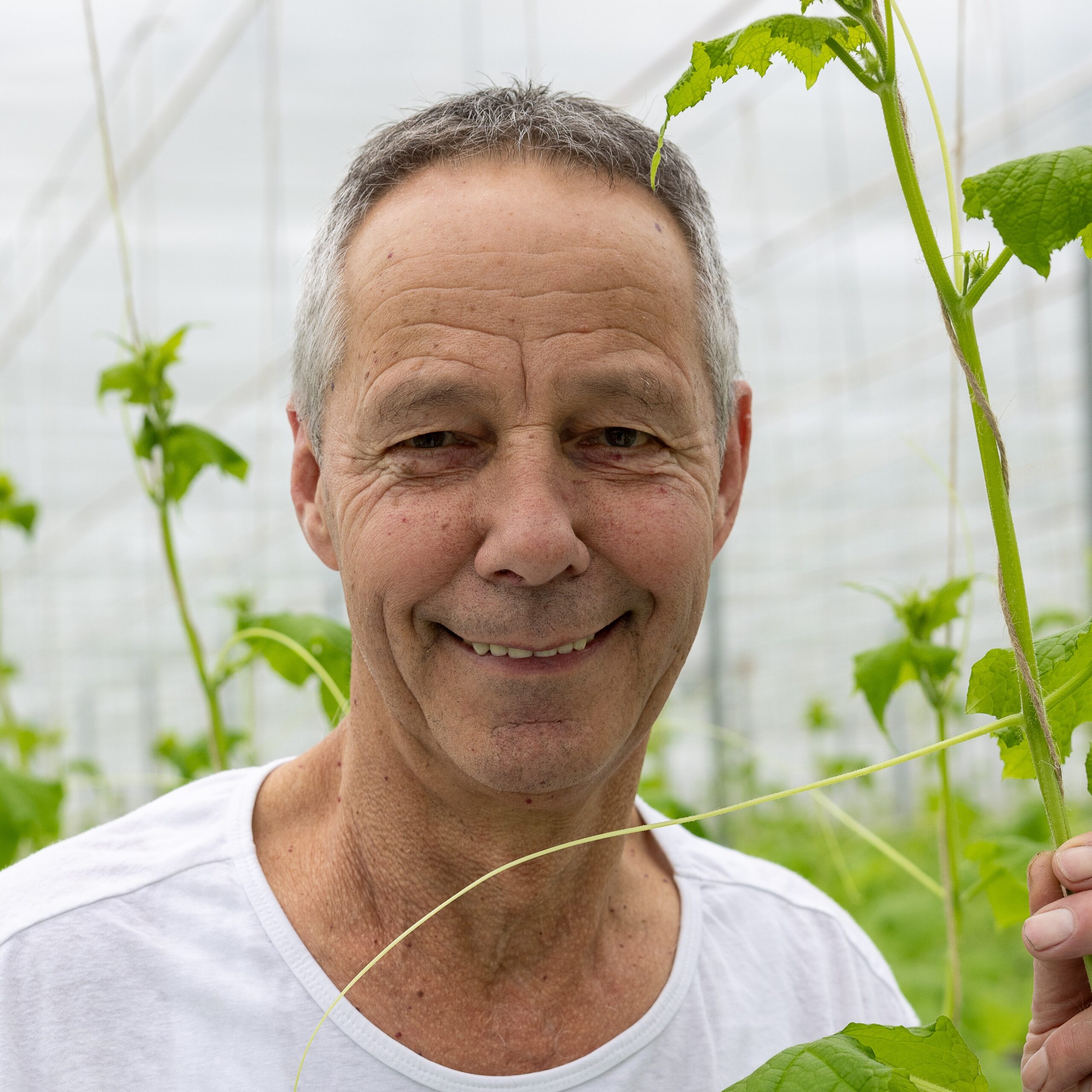 Profielfoto van Jan Hendrickx