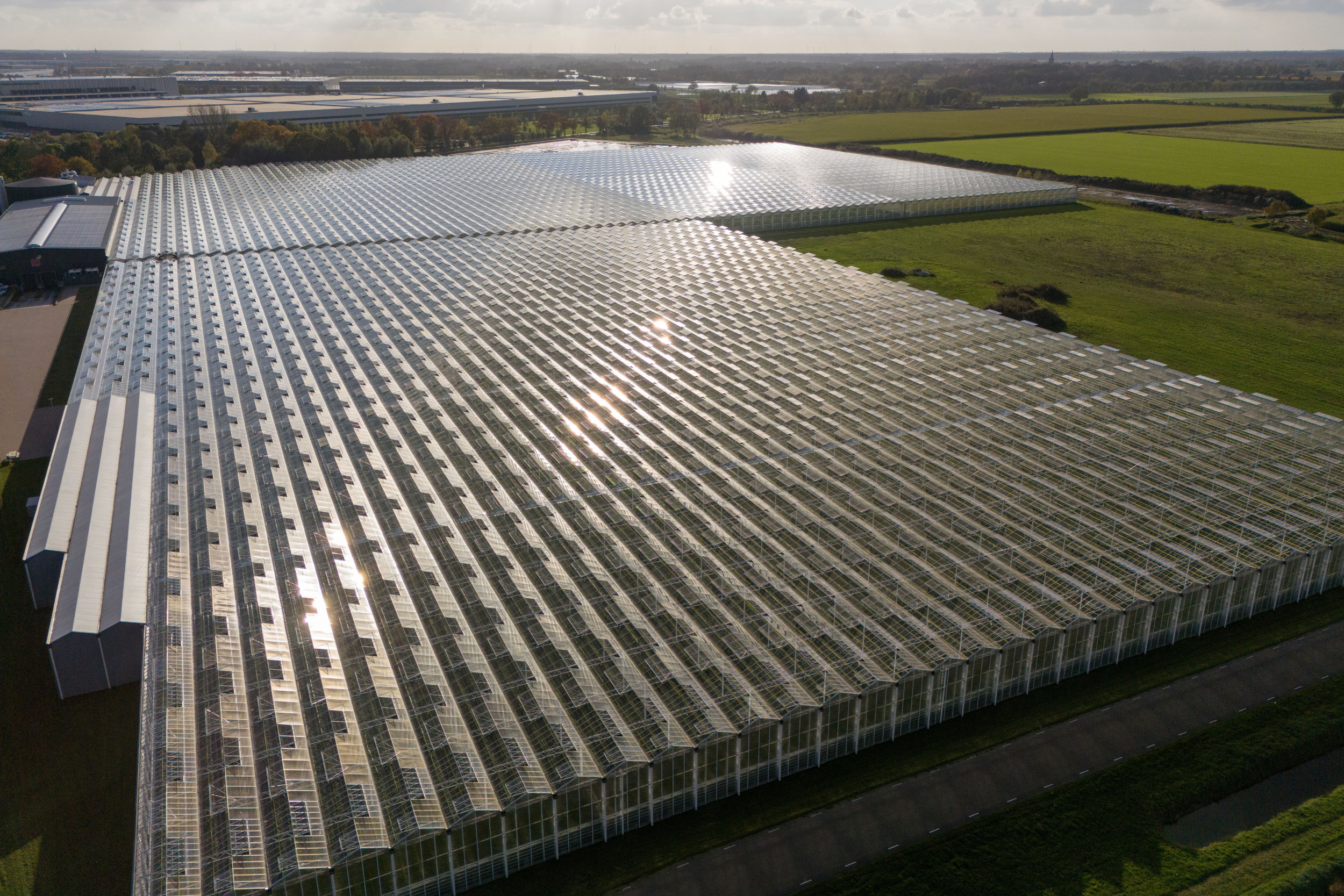 Glastuinbouw Nederland blijft het degressieve belastingstelsel voor energie afwijzen. Foto: Bert Jansen