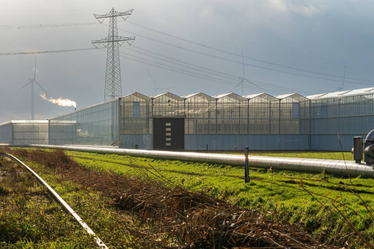 Sinds openstelling van SWiG deden negen ondernemers aanvragen voor subsidie voor de aanleg van warmtenetten. Drie werden toegekend. Foto: ANP