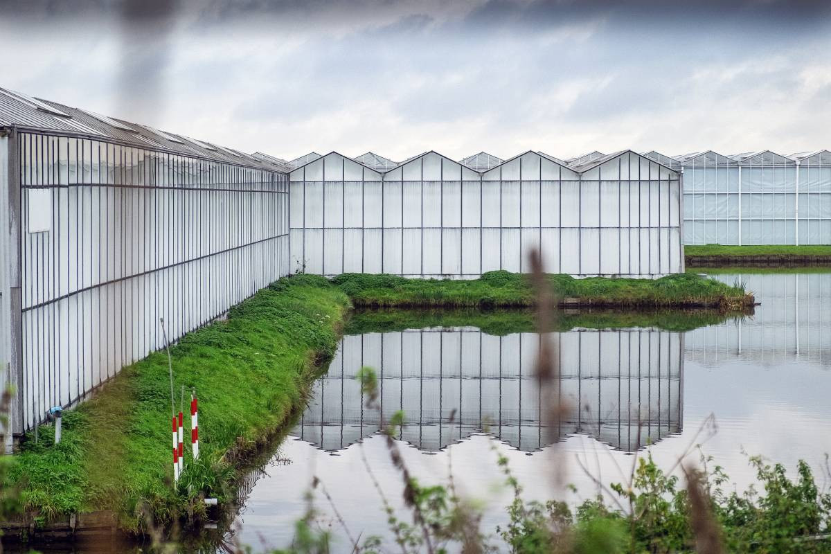 In 2027 moet de tuinbouw voldoen aan de Kaderrichtlijn Water. Foto: ANP